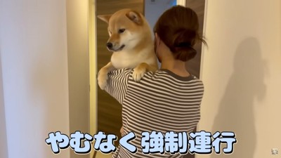 やむなく強制連行