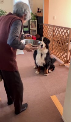 焼き芋をあげるおばあちゃん