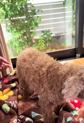 体調が急激に悪化