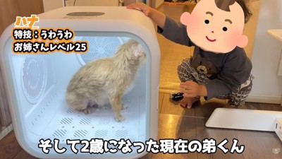 2歳になった男の子