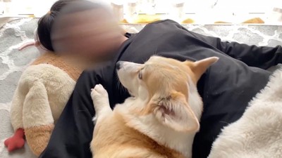 困惑してフリーズ！