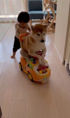 手押し車で一緒に遊ぶ