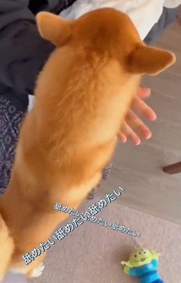 赤ちゃんが気になるおもちくん