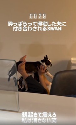 持ち上げられるおこわちゃん