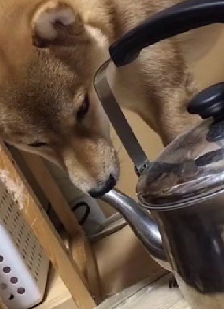 鼻にフィットしてる