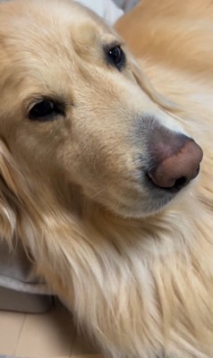 金髪サラサラヘアーのひなた君5