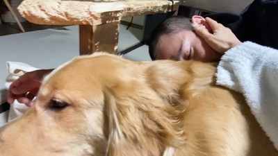 パパさんを撫でたら…？