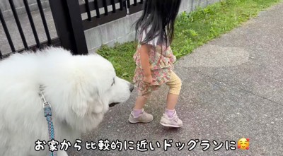 ドッグランにやってきた犬と家族たち