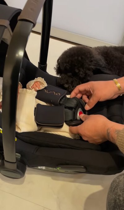 赤ちゃんをのぞき込む犬