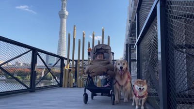 スカイツリーを見たり…