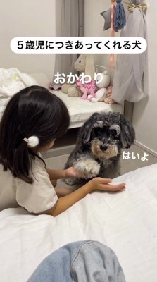女の子の手に逆の前足を乗せる犬