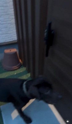 ゲート前で待機