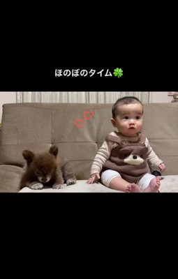 あんこちゃんと赤ちゃん6