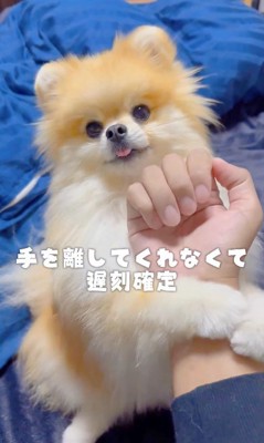 「お仕事行かないで!」