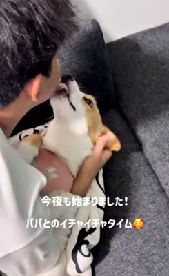 口元を舐める犬