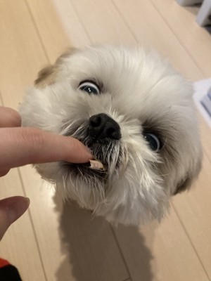 表情