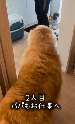 パパも行ってらっしゃい