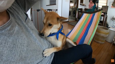 しがみついてきました!