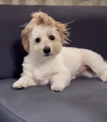 こっちを見た！！