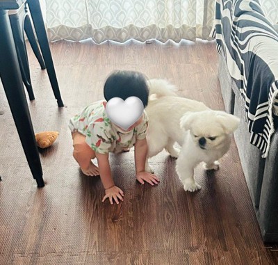 遊ぶときも一緒♪