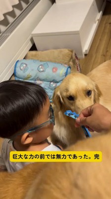 飼い主にサングラスを掴まれて、サングラスから口を離す犬