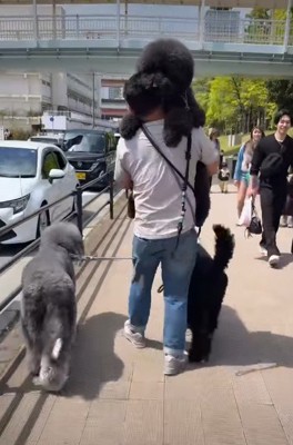 甘えん坊なCOCOちゃんでした♡