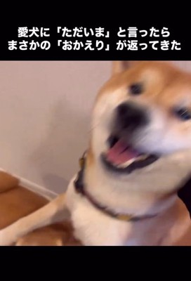 喜ぶこむぎくん