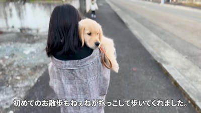 お散歩係も担当