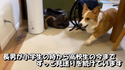 学校に行く時間が迫るとソワソワ…