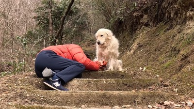心配そうなお顔