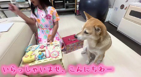美容室ごっこが始まった