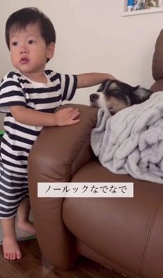 ノールックなでなで