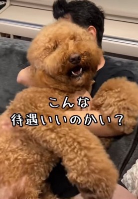 口が開きっぱなし!