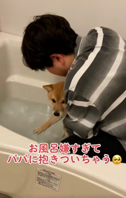 湯船に入るまろ君