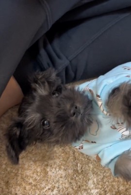 ママを見るゆずくん