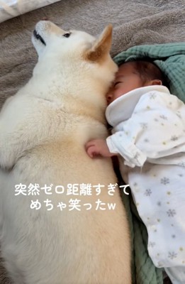 カナちゃんを触る赤ちゃん