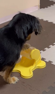 ごはんが出るオモチャで遊ぶれん君6