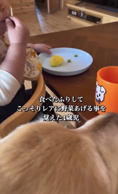 食べたと見せかけて