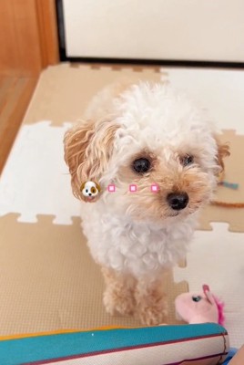 反応を待つらなちゃん