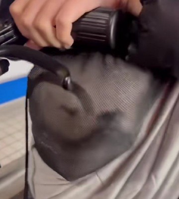 思わず凝視してしまいそう