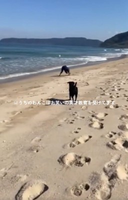 駆け出すロコくん