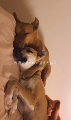 JayくんとJohnnyくん