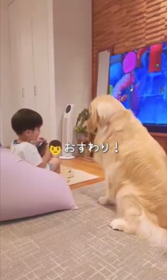 お座りする大型犬