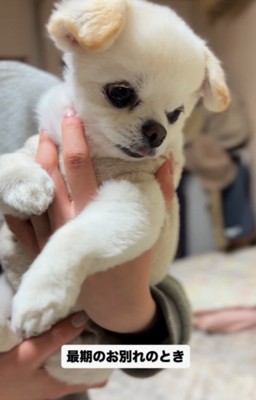 おじいちゃんとのお別れ