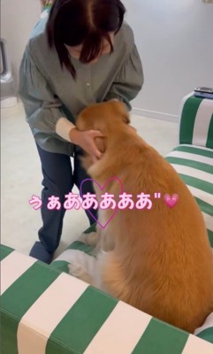 モコちゃんとお姉さんの再会6