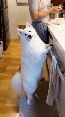 期待