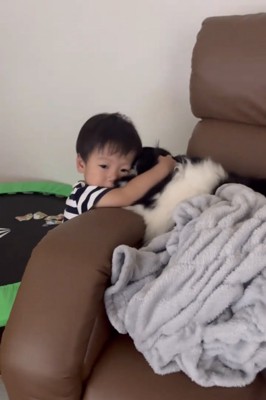犬をぎゅっと抱きしめる子ども
