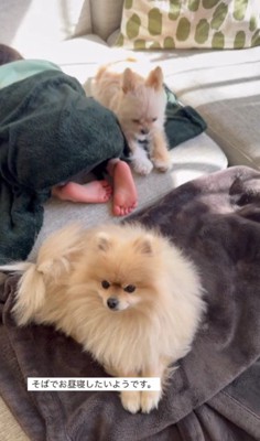 「体調大丈夫かな?」