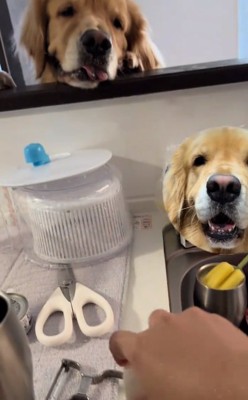 大根をおろすママ