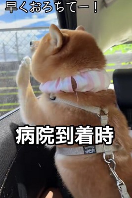 「早く遊びたい！」